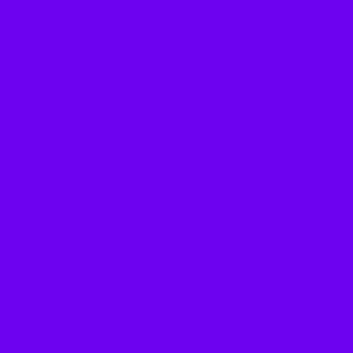 Dutch Malaria Foundation